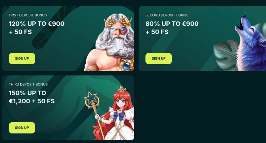 Spinaconda Welcome Package